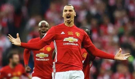 不拔的精神 不拔的精神