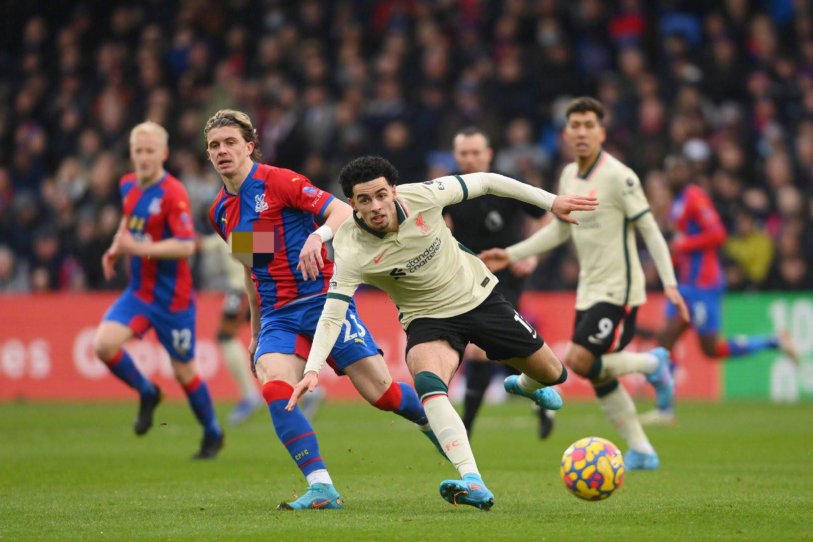 塔菲效力期 塔菲效力期